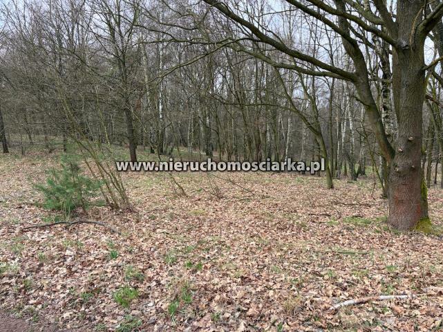 Działka rolno-budowlana Wodzisław Śląski