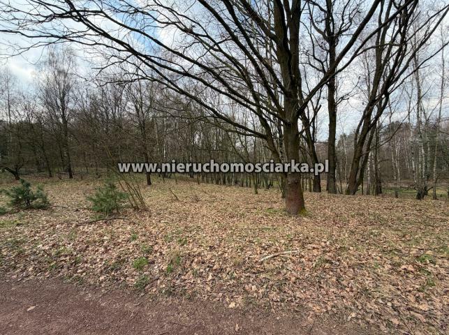 Działka rolno-budowlana Wodzisław Śląski