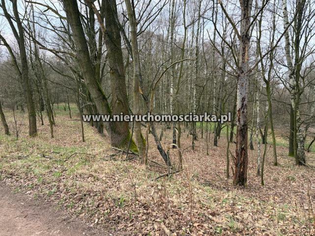 Działka rolno-budowlana Wodzisław Śląski