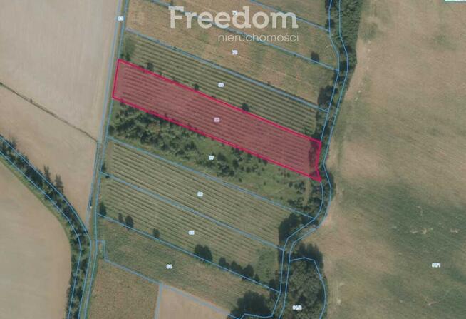 Na sprzedaż działka rolna 0,99ha Gościejowice