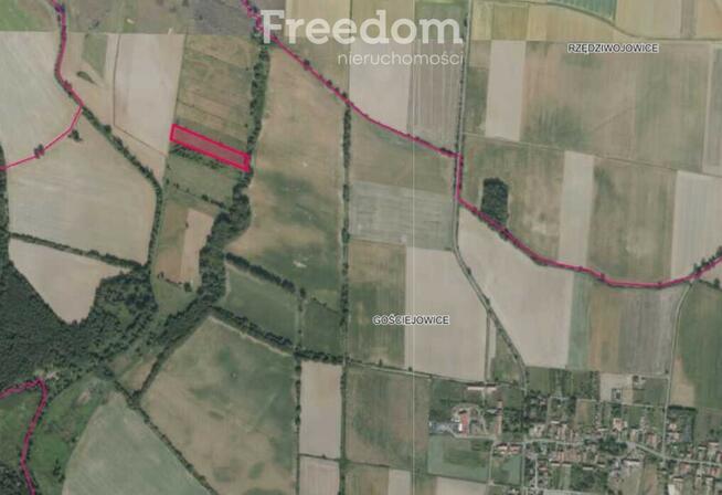 Na sprzedaż działka rolna 0,99ha Gościejowice