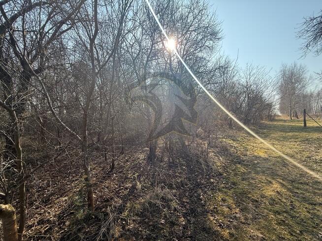 Okazja Inwestycyjna w Łodzi – możliwość podziału!