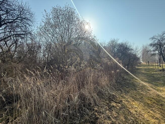 Okazja Inwestycyjna w Łodzi – możliwość podziału!