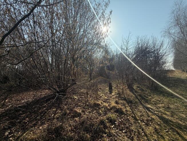 Okazja Inwestycyjna w Łodzi – możliwość podziału!
