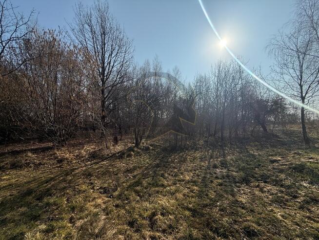 Okazja Inwestycyjna w Łodzi – możliwość podziału!