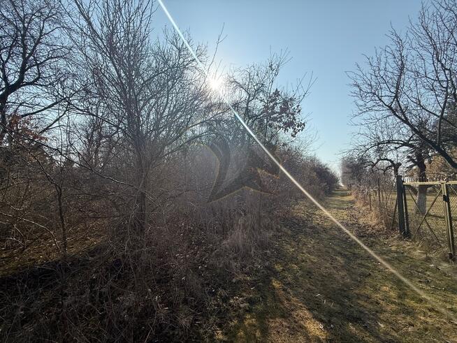 Okazja Inwestycyjna w Łodzi – możliwość podziału!