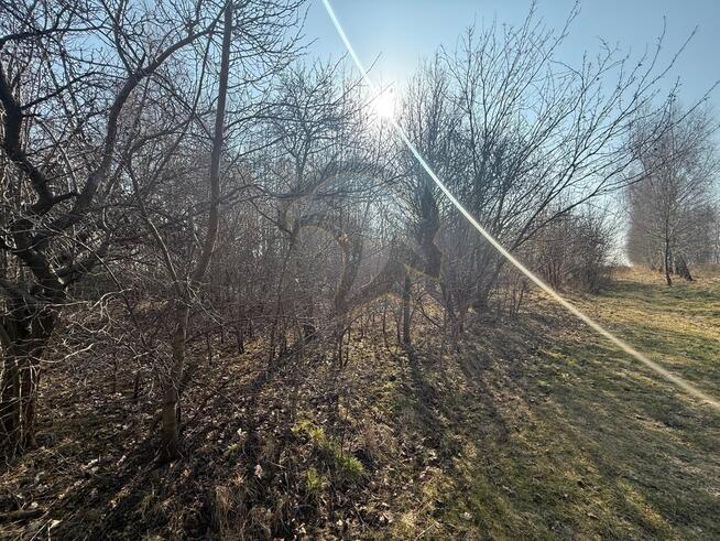 Okazja Inwestycyjna w Łodzi – możliwość podziału!