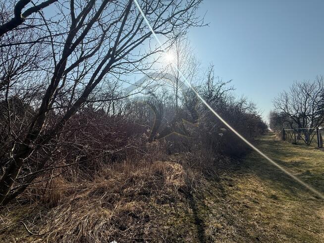 Okazja Inwestycyjna w Łodzi – możliwość podziału!