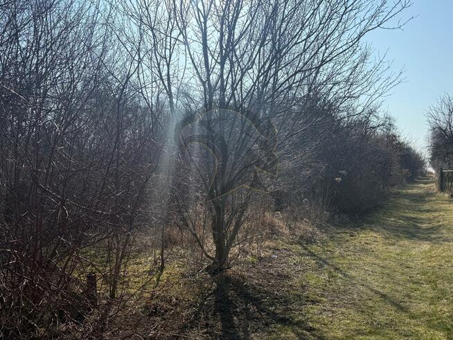 Okazja Inwestycyjna w Łodzi – możliwość podziału!