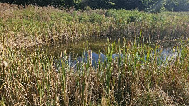 Budynek mieszkalny wielofunkcyjny na 2 ha działce.