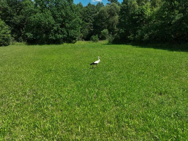 Działka rolna 27000m² (2.7ha) Żuków pow. Żyrardowski Puszcza