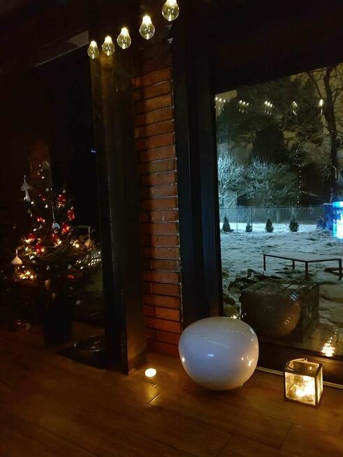 Wyjątkowa działka ROD Międzylesie | domek 35 m² | 400 m²