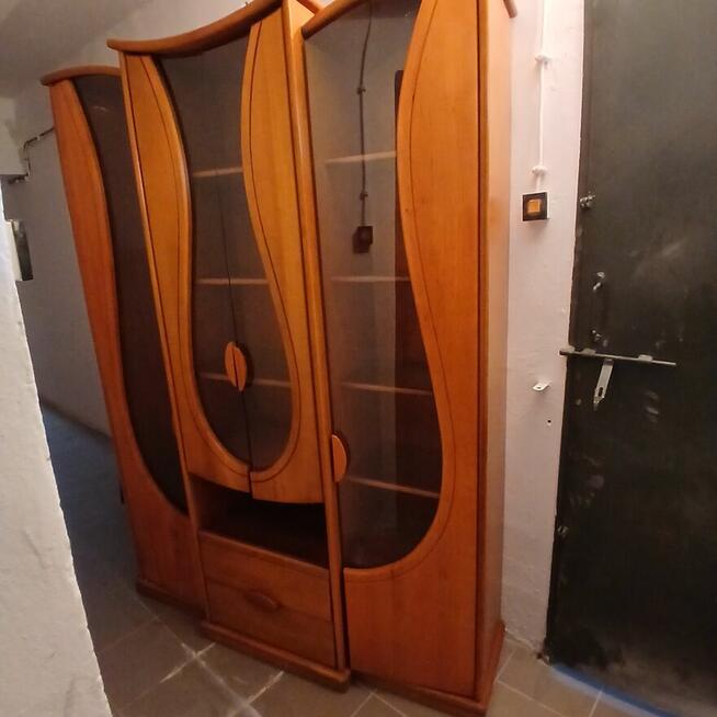 Witryna Sara tzw. tulipan