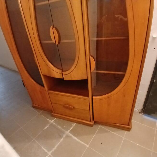 Witryna Sara tzw. tulipan