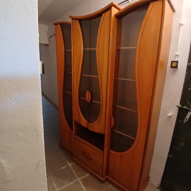 Witryna Sara tzw. tulipan