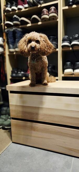 Komoda na dowolny wymiar