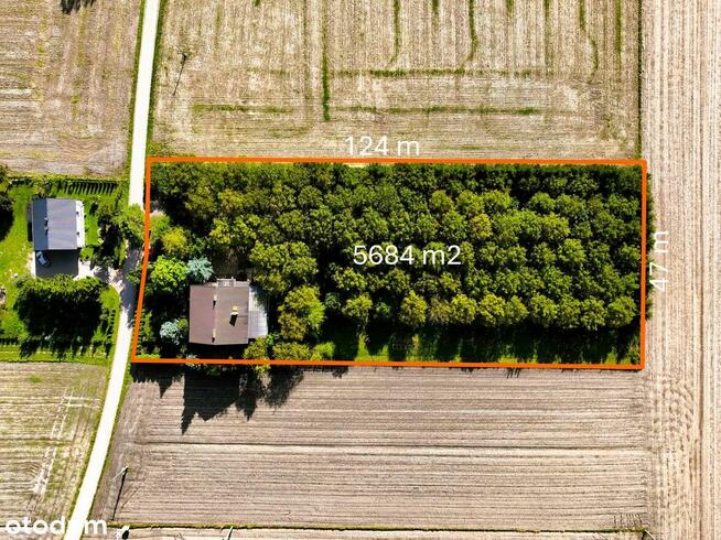 Dom 200m2 | Działka 5600m2 | Chruszczewo, ul Młynarska