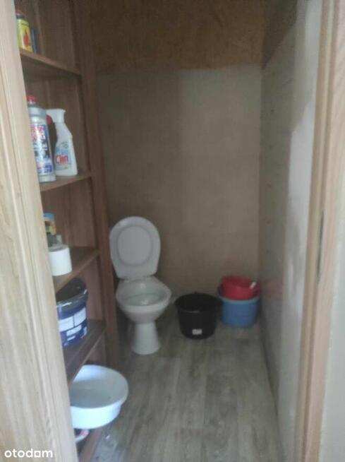 Odstąpię prawo do dzierżawy działki ROD