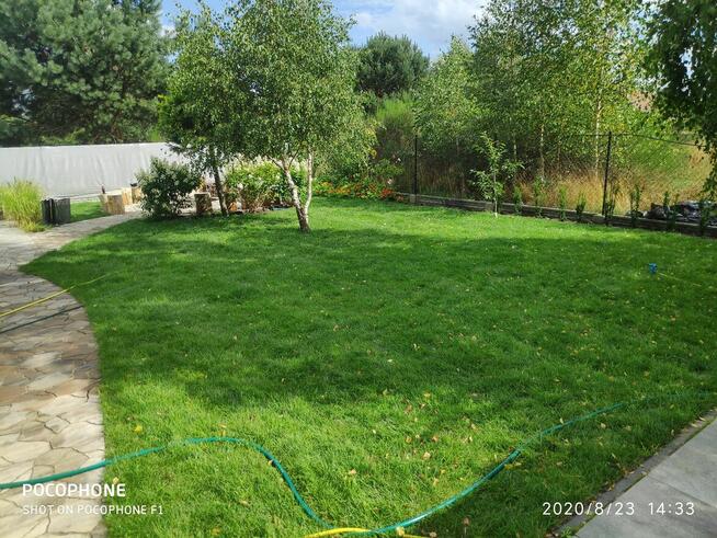 Zakładanie ogrodów, trawniki z rolki i siew - Trójmiasto