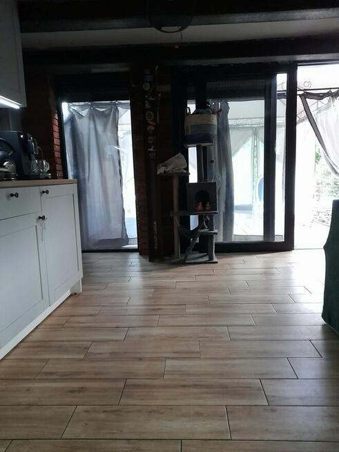 Wyjątkowa działka ROD Międzylesie | domek 35 m² | 400 m²