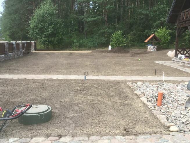 Zakładanie ogrodów, trawniki z rolki i siew - Trójmiasto