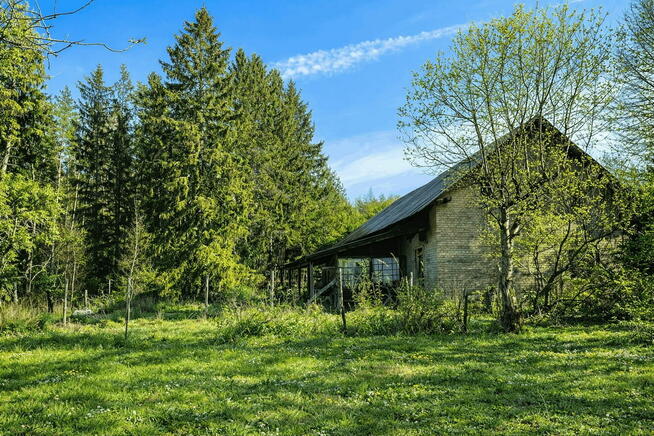 Dom w lesie - Biały Bór Oaza ciszy i spokoju