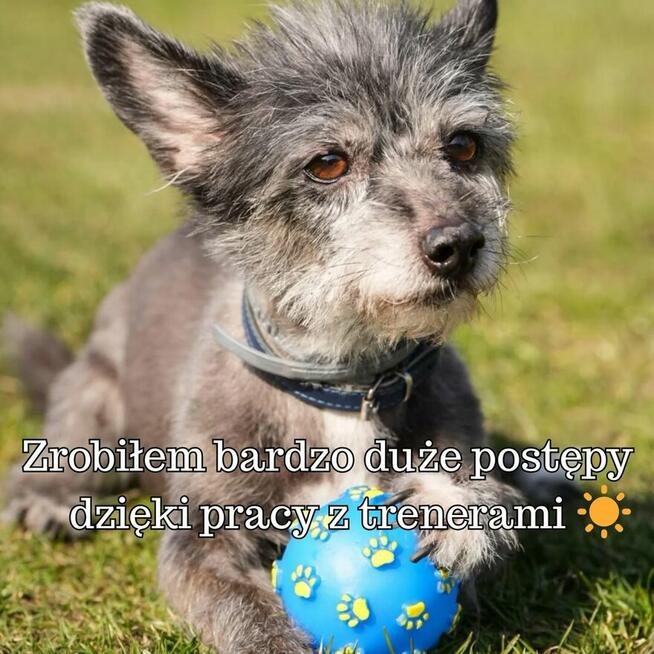 Dajmy szansę Titusiowi