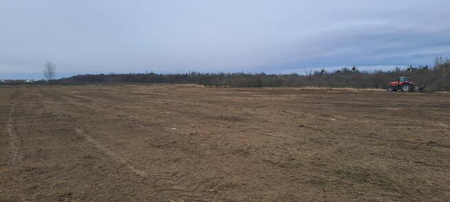 Wycinka Drzew i Krzewów | Karczowanie Działek | Mulczowanie