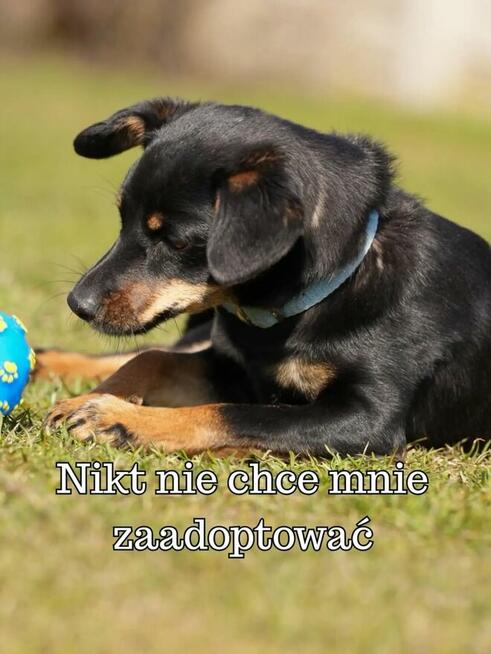 Kavi ️ Malutka sunia o wielkim sercu