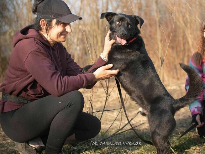 Roki – przystojniak który szuka swojego człowieka na zawsze