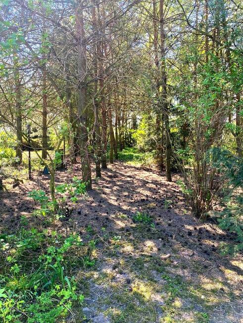 Działka 2111 m² – Łódź, Brzezińska 257 – MPZP • pełne media