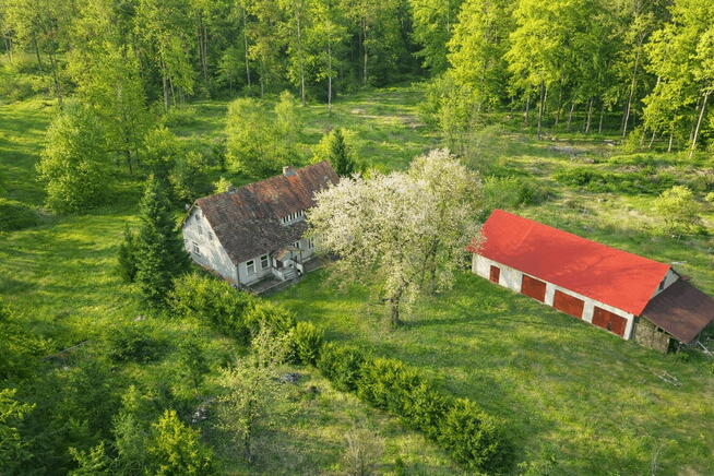 Dom w lesie - Biały Bór Oaza ciszy i spokoju