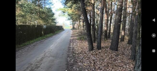 Działka leśna z planem zagospodarowania domki letniskowe