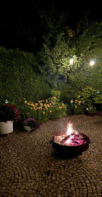 Dom z dala od zgiełku ale w mieście