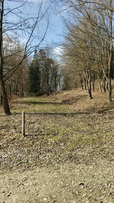 Działka Turze Pole 18a rekreacyjna 36-200