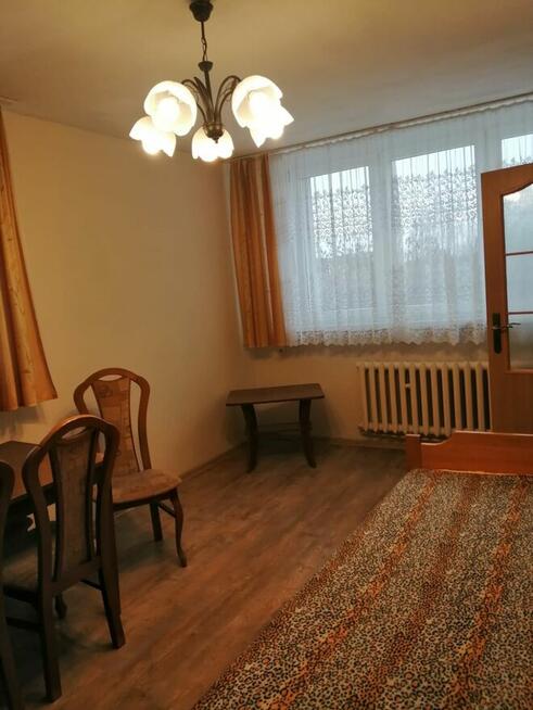 Miesz do wynajmu od zaraz Tychy os F