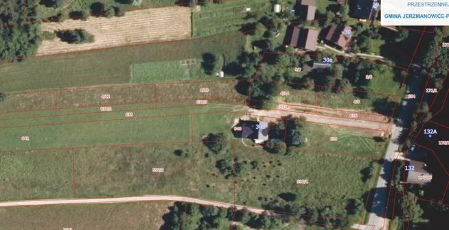 Piękne widokowe dzaiłki pod lasem