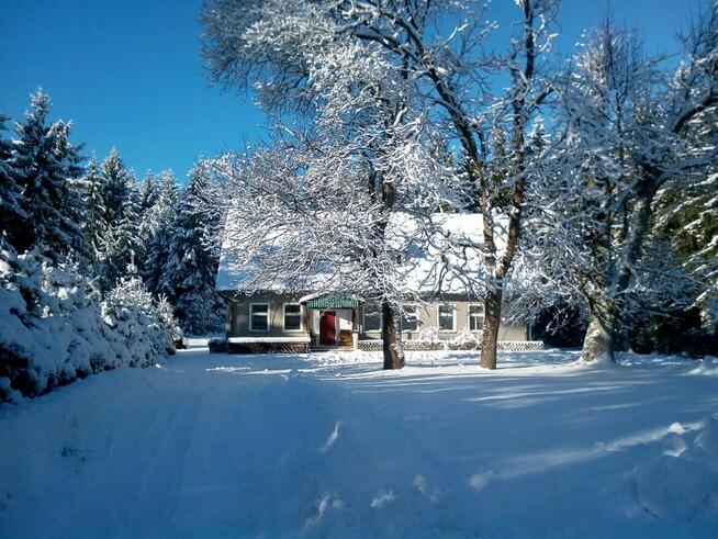 Dom w lesie - Biały Bór Oaza ciszy i spokoju