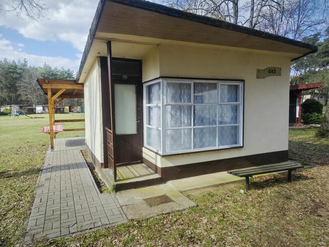 Twój azyl w sercu lasu – Domek w Dolinie Baryczy (Sułów)