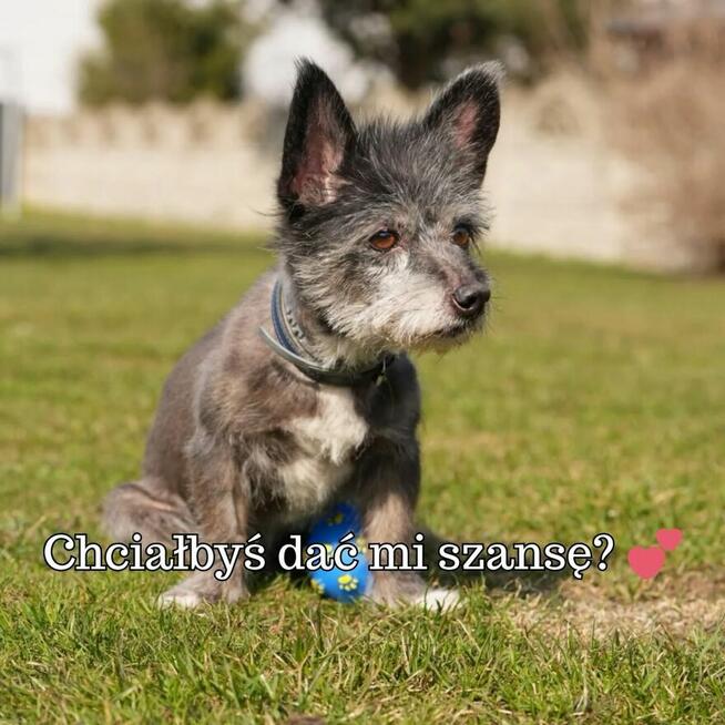 Dajmy szansę Titusiowi