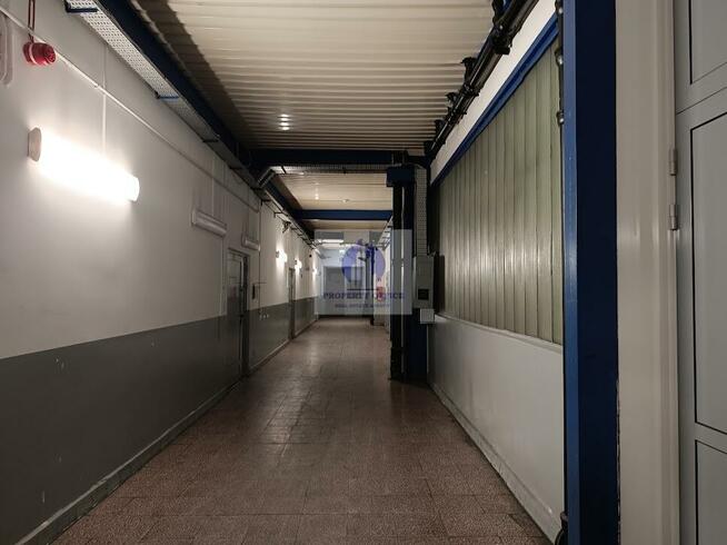 Lokal użytkowy Warszawa Bielany, Sokratesa