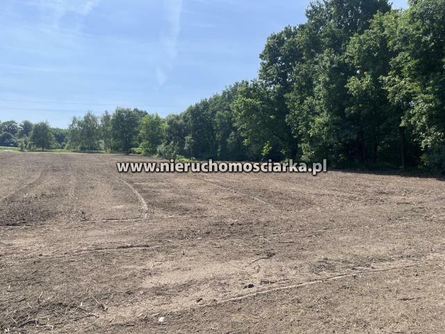 Działka budowlana Skrzyszów gm. Godów