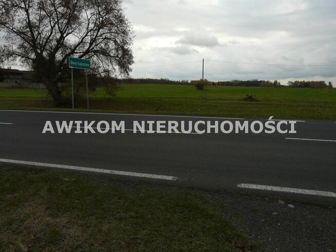 Działka siedliskowa Lisowola gm. Puszcza Mariańska