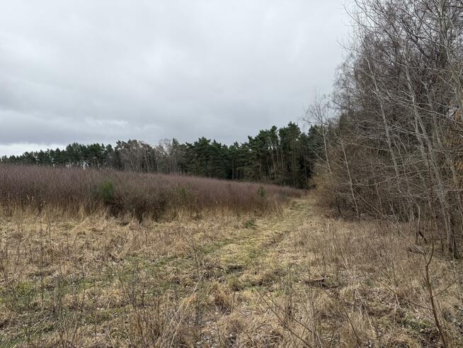 Działka budowlana Charzyno gm. Siemyśl Charzyno
