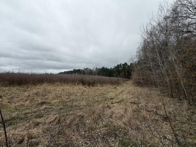 Działka budowlana Charzyno gm. Siemyśl Charzyno