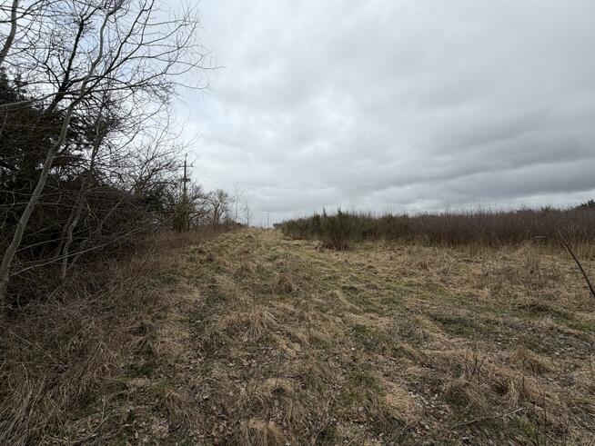 Działka budowlana Charzyno gm. Siemyśl Charzyno