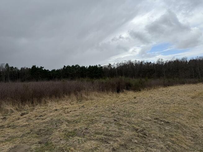 Działka budowlana Charzyno gm. Siemyśl Charzyno