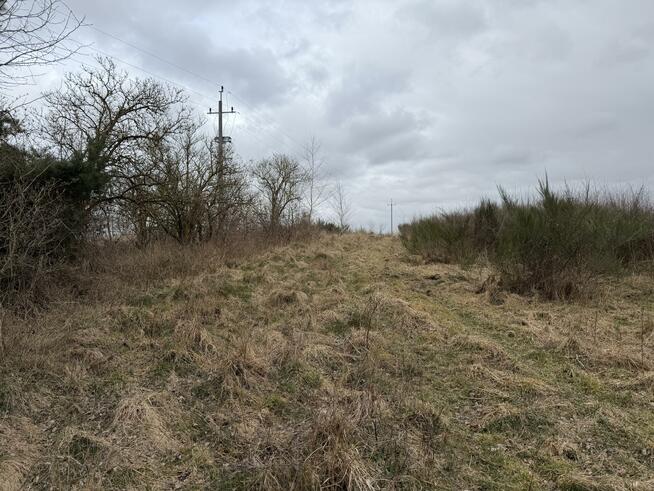 Działka budowlana Charzyno gm. Siemyśl Charzyno