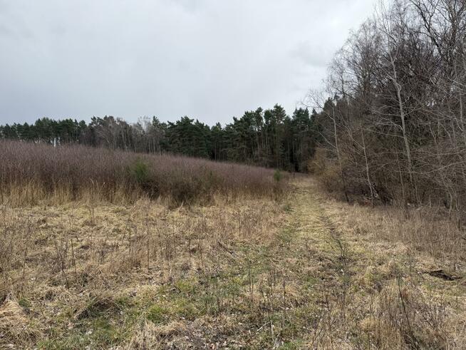 Działka budowlana Charzyno gm. Siemyśl Charzyno