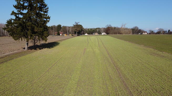 Żminne!!! Atrakcyjna działka w pięknym otoczeniu.